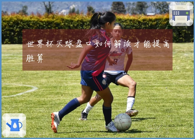 世界杯买球盘口如何解读才能提高胜算